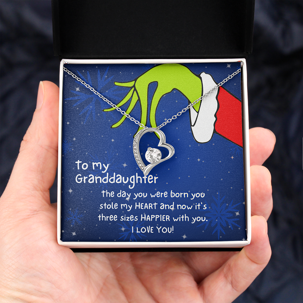 Christmas Necklace Gift to Granddaughter - The day you were born you stole my heart